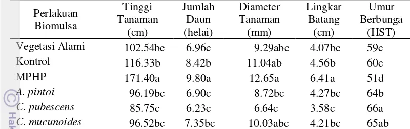 Tabel 4  Pengaruh perbedaan jenis biomulsa terhadap pertumbuhan vegetatif dan umur berbunga jagung manis 