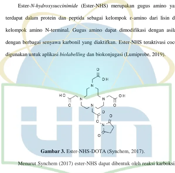 Gambar 3. Ester-NHS-DOTA (Synchem, 2017).  