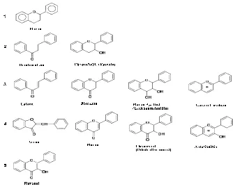 Gambar 4. Tingkat oksidasi senyawa flavonoid (Manitto,1992). 