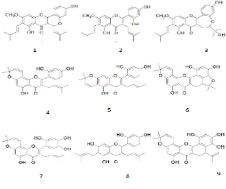 Gambar 7. Senyawa-senyawa flavonoid dalam tumbuhan A. rigida (Hakim, 2010). 