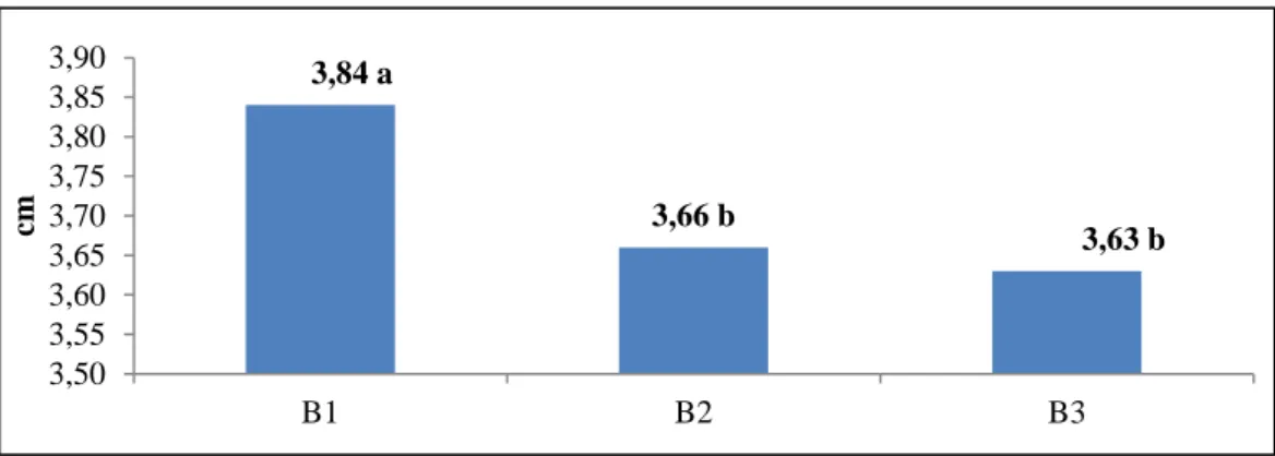 Gambar 1. Grafik Hasil Pengaruh Gula terhadap kecepatan Misellium (cm/4 Hari). 