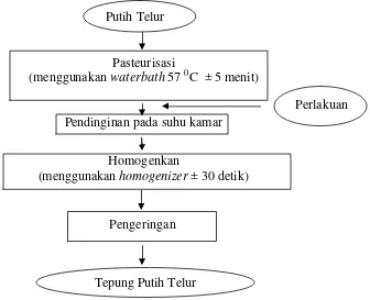 Gambar 4. Bagan Proses Pembuatan Tepung Putih Telur (Sukarno, 1984 ) 