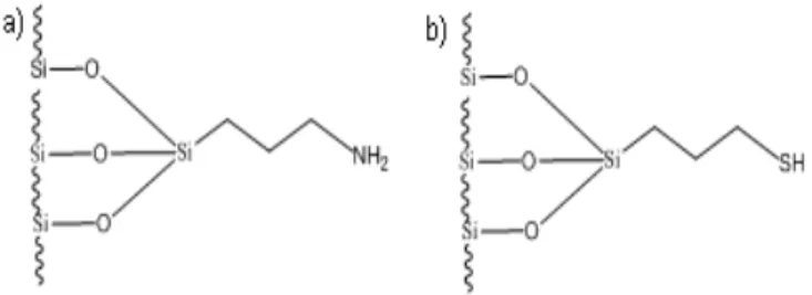 Gambar 1. Struktur kimia adsorben a) HAS dan b) HMS