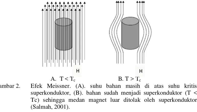 Gambar 3.  Efek Meissner pada superkonduktor yang memberikan gejala    penolakan medan magnet luar (Wanibesak, 2011)
