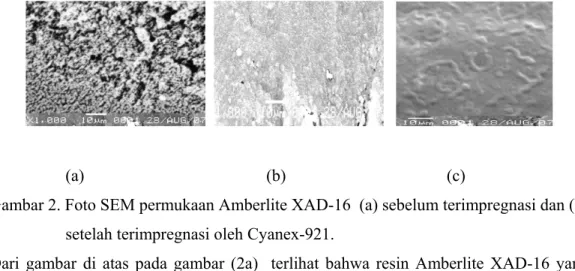 Gambar 2. Foto SEM permukaan Amberlite XAD-16  (a) sebelum terimpregnasi dan (b)  setelah terimpregnasi oleh Cyanex-921
