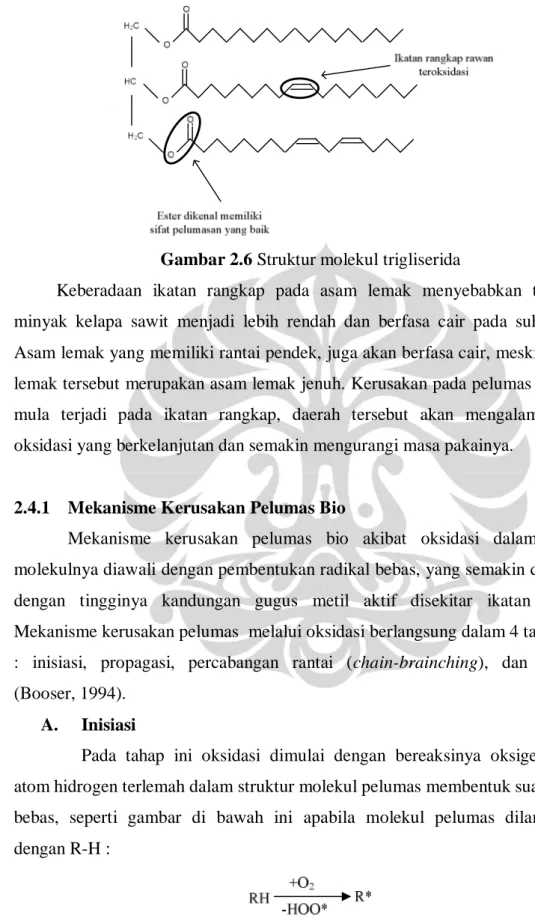 Gambar 2.6 Struktur molekul trigliserida 