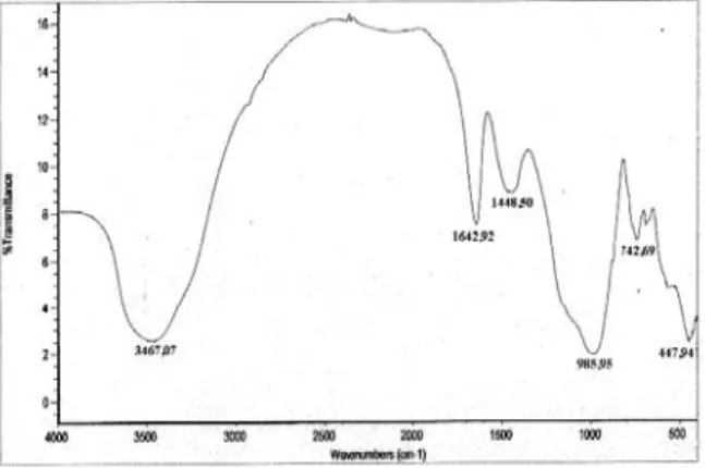 Gambar 5. Spektra inframerah produk hidrotermal  yang diaktivasi larutan NaOH 3 M suhu 100 o C 