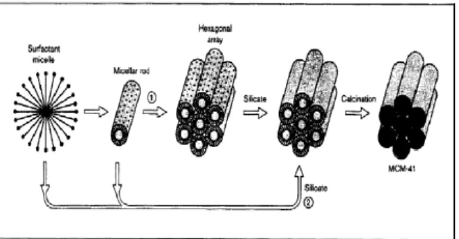 Gambar  2.3  Mekanisme  yang  terjadi  dalam  pembentukan  MCM-41:  (1)  Pembentukan  fasa 