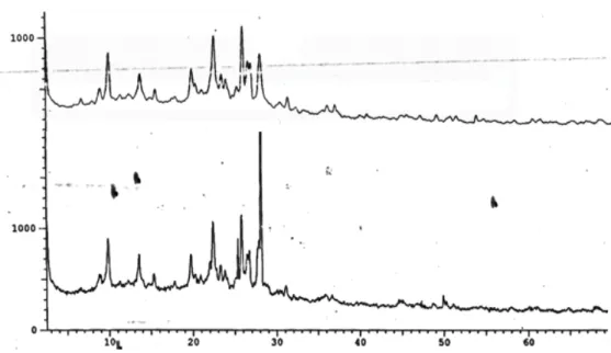 Gambar 1. Difraktogram H-Zeolit (atas) dan Ni-Mo/Zeolit (bawah) 