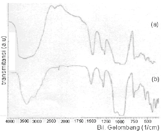 Gambar 1. Spektogram: (a) NH 4 Y dan (b) NH 4 Y bebas air 