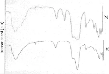 Gambar 2. Spektogram: (a) NH 4 Y bebas air dan (b) HY 