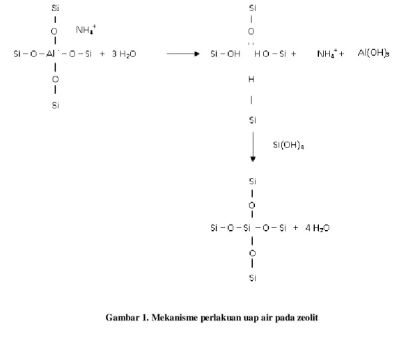 Gambar 1. Mekanisme perlakuan uap air pada zeolit 