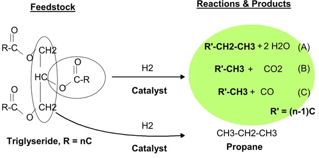 Gambar 2.1.  Mekanisme katalisis oleh katalis logam pada  reaksi hidrogenasi  ikatan rangkap    Triglyseride, R = nC R-C O CH2 CH2 HC O C-R O R-C O O O  R'-CH2-CH3  +  2 H2O R'-CH3 + CO2 R'-CH3 + CO CH3-CH2-CH3 H2 Catalyst  R' = (n-1)C (A) (B) (C) H2 Catal