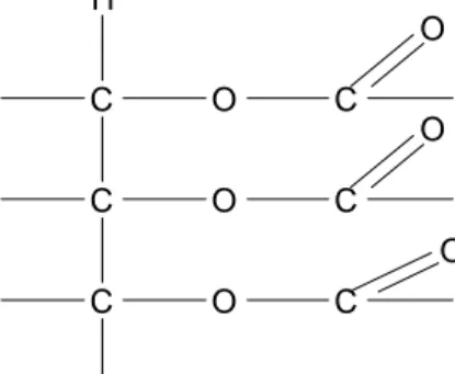 Gambar  2.1  merupakan  suatu  asam  lemak  (suatu  trigliserida  atau  triasilgliserol),  dimana  R 1 ,  R 2 ,  R 3   merupakan  ekor  hidrokarbon  dariberbagai  asam  lemak