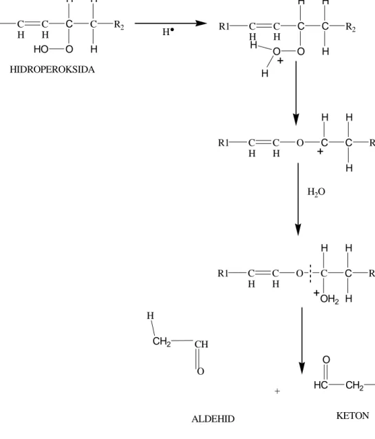 Gambar 2.3 Reaksi Penguraian Hidroperoksida  