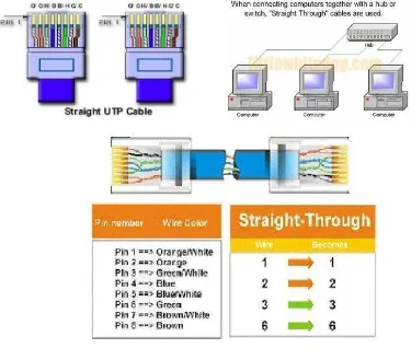 Gambar 2.8 Susunan Kabel Straight trought 