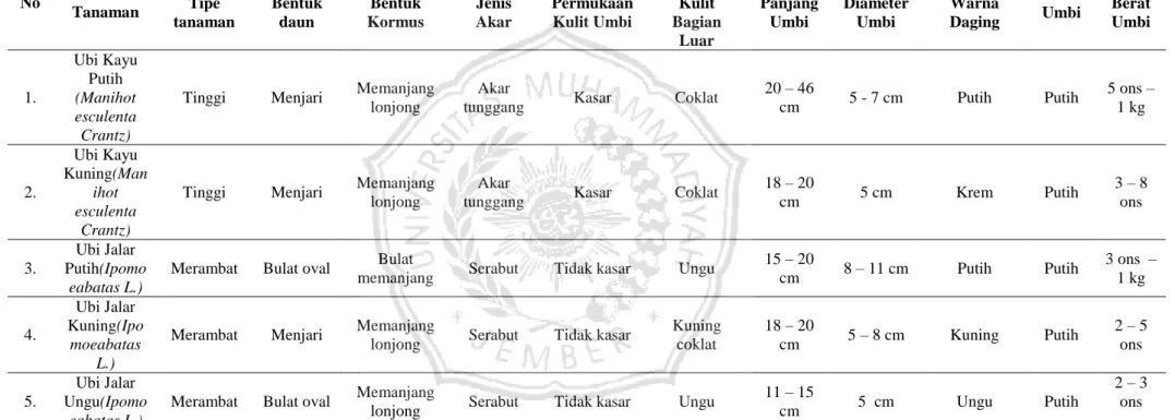 Tabel 4.5 Instrumen data Pengamatan Morfologi Jenis Umbi-Umbian di Wilayah Jember Utara dan Timur