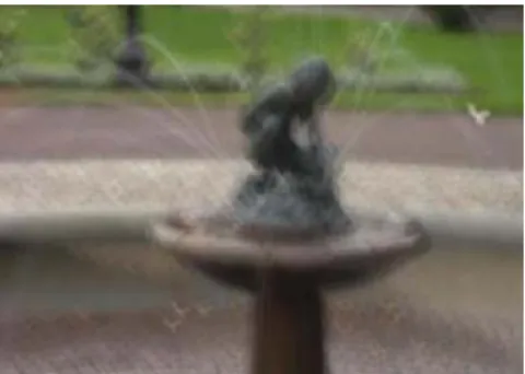 Gambar 1. Contoh Blurred Image Akibat Camera Shake 