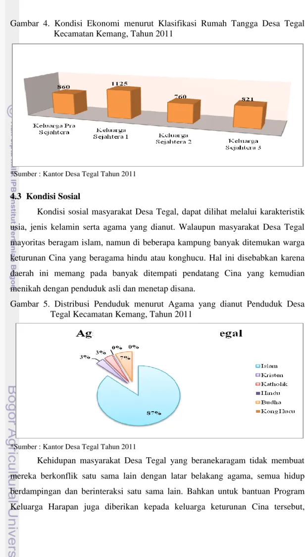 Gambar  4.  Kondisi  Ekonomi  menurut  Klasifikasi  Rumah  Tangga  Desa  Tegal   Kecamatan Kemang, Tahun 2011 