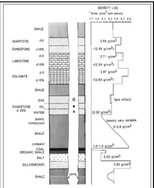 Gambar 2. 6 Respon log RHOB terhadap berbagai litologi (Rider, 1996)