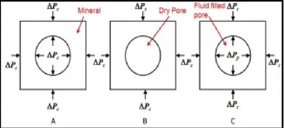 Gambar 2. 2 Model batuan sederhana yang terdiri dari mineral dan pori tunggal (A) menunjukkan  tekanan pengekang yang diterapkan ke bagian dalam dan luar mineral, (B) tidak menunjukkan  tekanan di bagian dalam tetapi membatasi tekanan pada di luar, dan (C)
