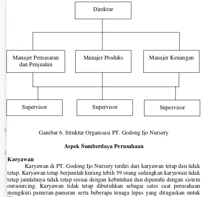 Gambar 6. Struktur Organisasi PT. Godong Ijo Nursery 