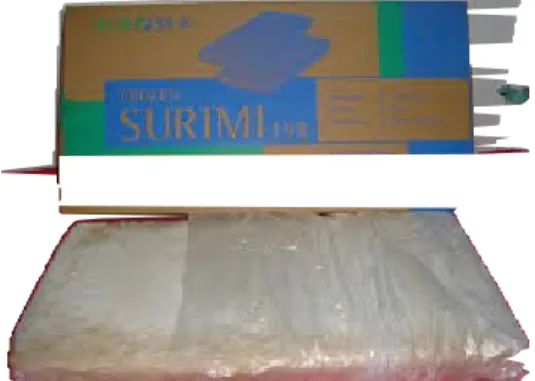 Gambar 20. Surimi Ikan