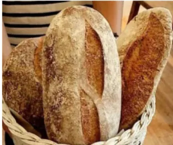 Gambar 3.5 Jenis Roti  Boule de meule 