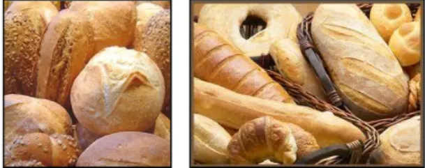Gambar 3.9  Fougasse 