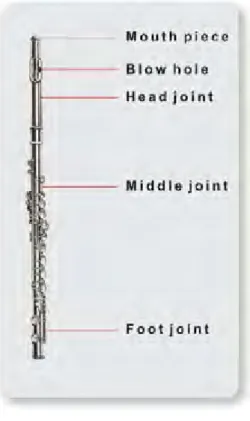 Gambar 6: Bagian flute