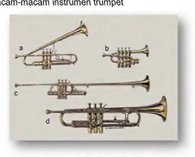 Gambar 22: Macam-macam trumpet