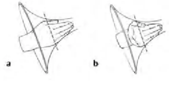 Gambar 34: Posisi tangan dalam bermain horn a. Tangan kanan dimasukkan dalam bell horn