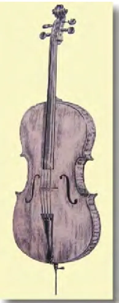 Gambar 52: Perbandingan ukuran antara cello dan contra bass