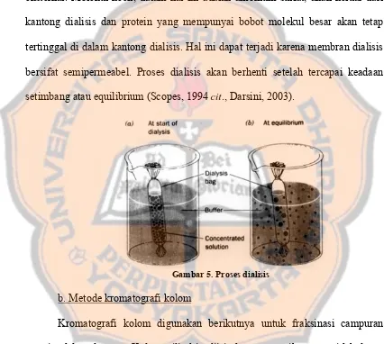 Gambar 5. Proses dialisis 