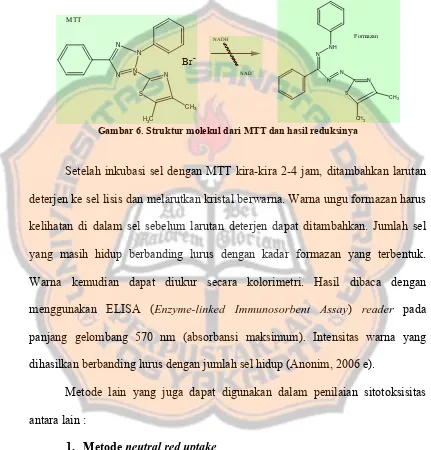 Gambar 6. Struktur molekul dari MTT dan hasil reduksinya 