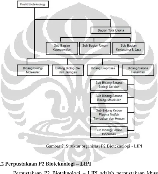Gambar 2. Struktur organisasi P2 Bioteknologi - LIPI 