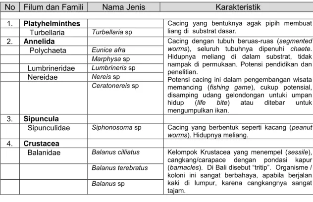 Tabel 3.4    Keragaman Jenis Makrozoobenthos dan Karakteristiknya   No  Filum dan Famili  Nama Jenis  Karakteristik 