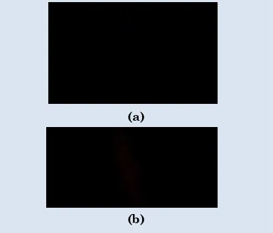 Gambar 5. (a) Spektrum Argon (b) Spektrum Helium