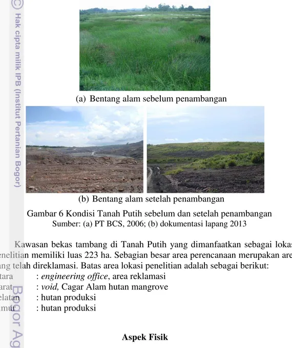 Gambar 6 Kondisi Tanah Putih sebelum dan setelah penambangan 