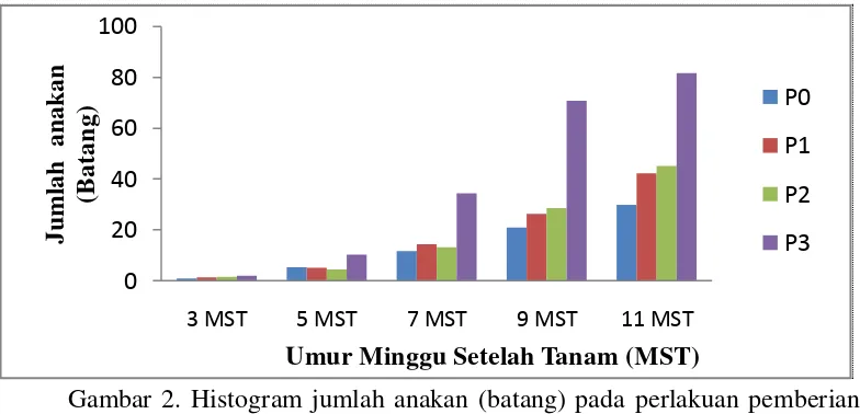 Gambar 2. Histogram jumlah anakan (batang) pada perlakuan pemberian berbagai pupuk organik (P) pada umur pengamatan minggu setelah tanam