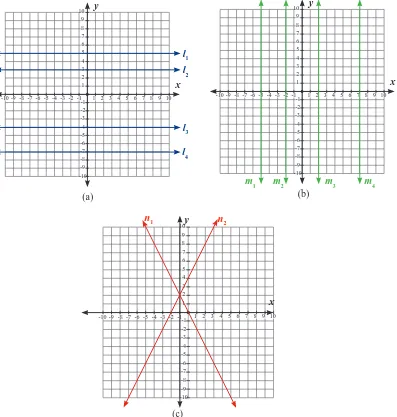 Gambar 1.10 Garis-garis pada bidang koordinat 