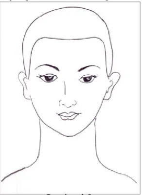 Gambar 1.3  Profil Sheet wajah 