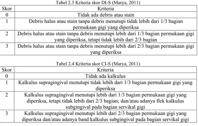 Tabel 2.3 Kriteria skor DI-S (Marya, 2011) 
