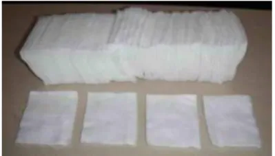 Gambar 14.  Tissue