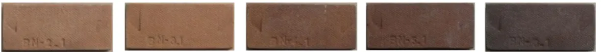 Gambar 3. Badan Keramik Stoneware Pembakaran Cone 5 (1196 o C) 