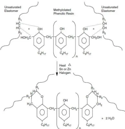 Gambar 2. Reaksi Resin Phenol dengan Elastomer 