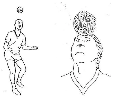 Gambar 4. Menyundul Bola Sumber: Sudrajat Prawirasaputra (2000: 30) 