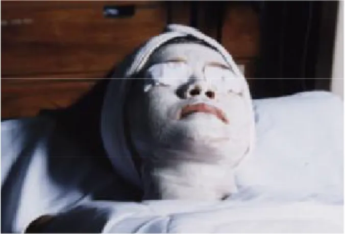 Gambar 2.1 Topeng Wajah (Face mask) 