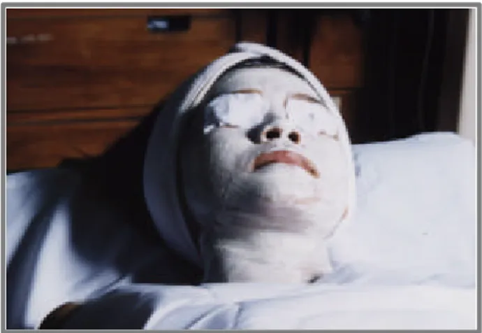 Gambar 2.1   Topeng wajah (face mask)  c)  Masker Bahan Alami ( Biological Mask) 