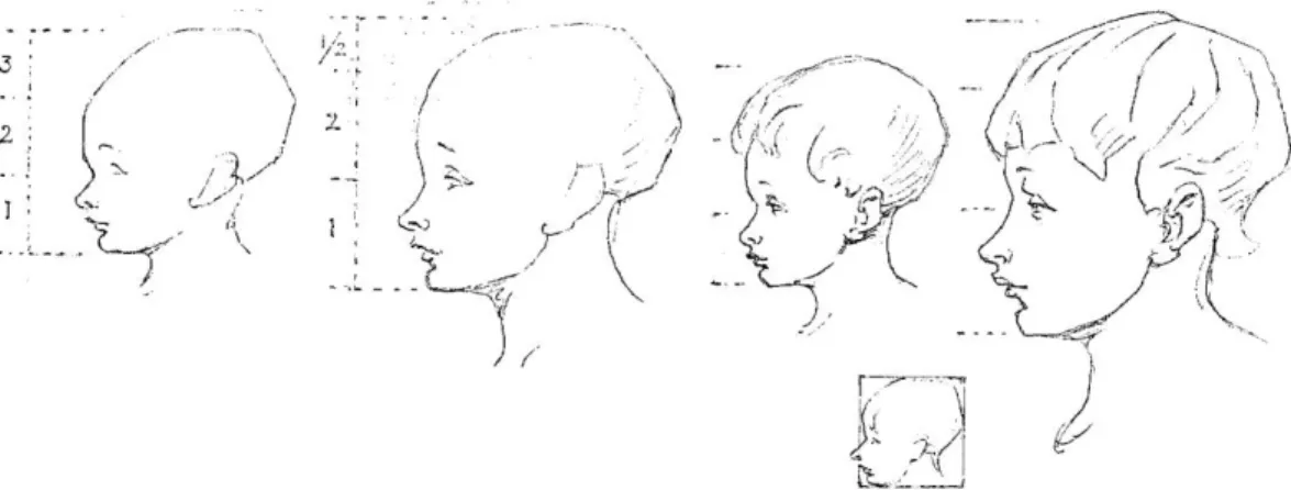 Gambar 11. Proporsi kepala anak-anak  Sumber: Bridgman, 1974 